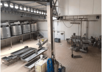 Well established dairy product company that makes varieties of cheese and butter.