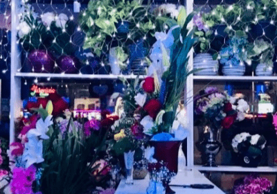 Florist Business For Sale in Sharm El-Sheikh, Egypt