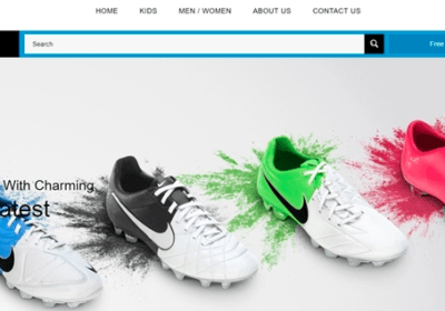 Home Based Profitable Dropshipping Business For Sale
