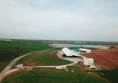 Affordable Farm 27.000 Sq. Meters In Turkey For Sale