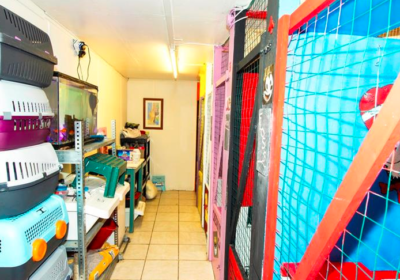 Kennels & Cattery With Accomm. Kirkby-In-Ashfield For Sale