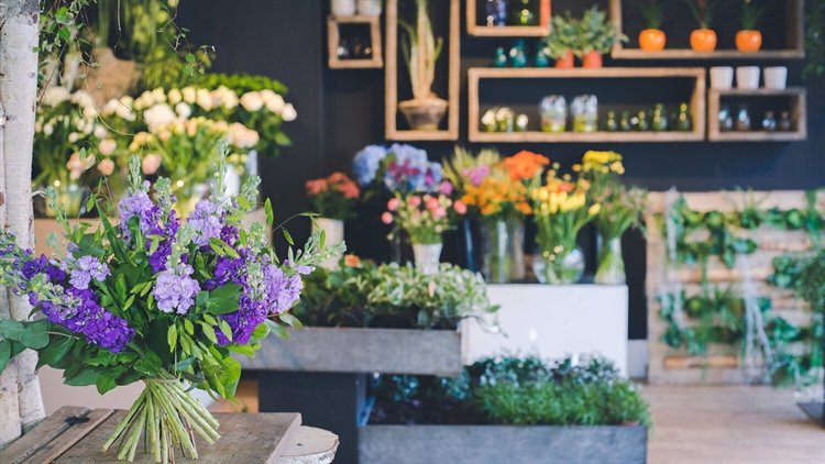 Well Established And Profitable Florist For Sale