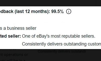 Successful E-commerce Business For Sale