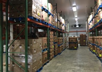 Food distributor in Turkey for sale