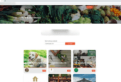 Grocery Shop for Sale in Northampton, United Kingdom