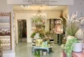 Well Established Popular Interior & Gift Retail Business For Sale