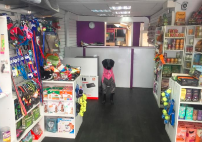 Dog Grooming, Day Care & Pet Shop – London For Sale
