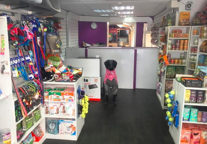 Dog Grooming, Day Care & Pet Shop – London For Sale