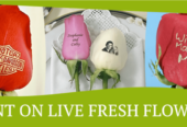 Speaking Roses – Unique Gift Business Opportunity